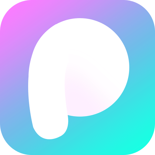 P 图