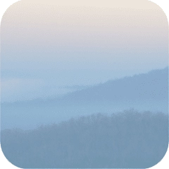 Quieting Anxiety: CBT Tools