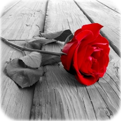 Photo Art – Color Effects