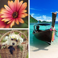 照片拼贴工具 – 创造你的精彩瞬间