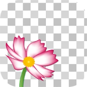 Edge Tracer -Remove background