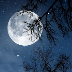 放松之夜:睡觉的声音