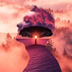 Square blend: Photo Editor Pro