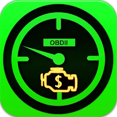 OBD2 Pro Check Engine Car DTC