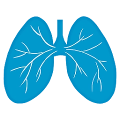 Тренировка дыхания