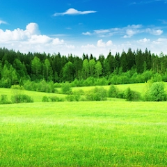 放松国度:睡眠的声音